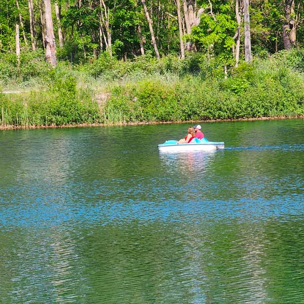 Paddle boating on the lake